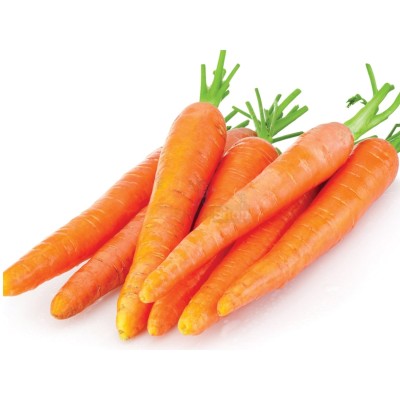 Морковь молодая 1 кг - купить в Балапане